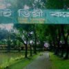 দিরাই উপজেলা